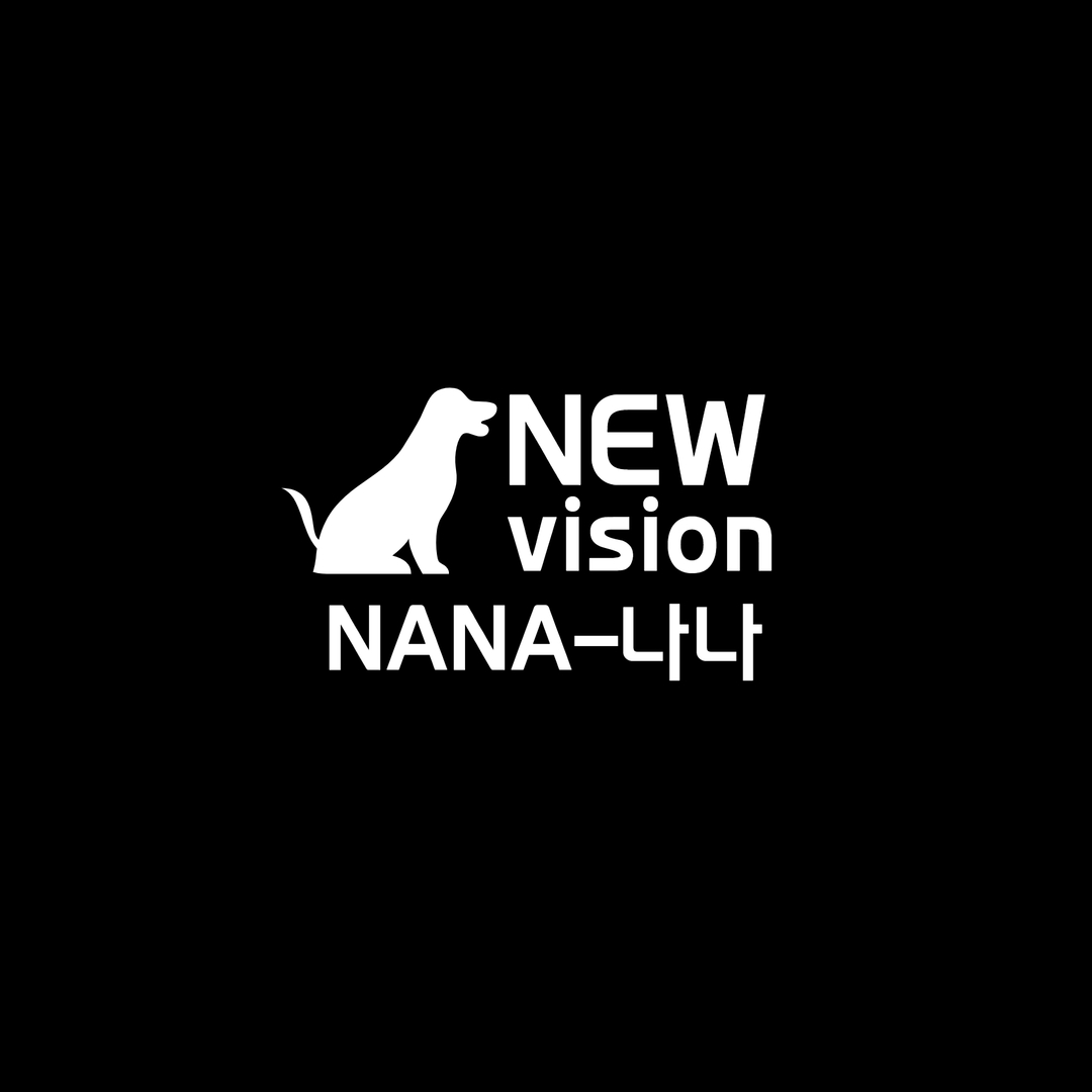 뉴비전 - 나나